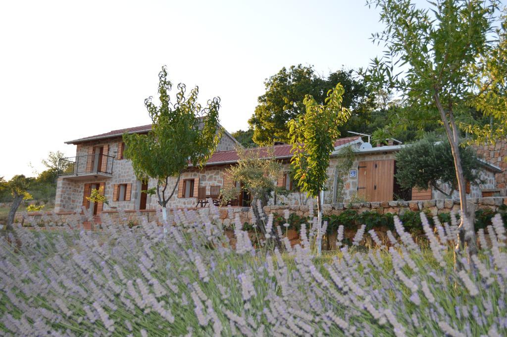 Villa Mara - Secluded House With Breathtaking View- Seline, Starigrad Paklenica Exterior photo